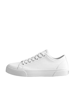 Canvas shoe
